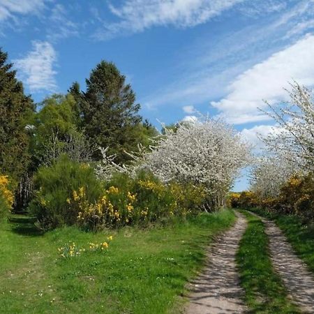 Vila Lower Bruntlands Fochabers Exteriér fotografie