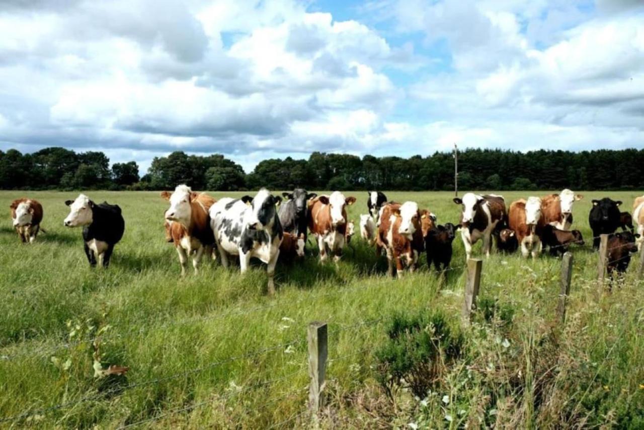 Vila Lower Bruntlands Fochabers Exteriér fotografie